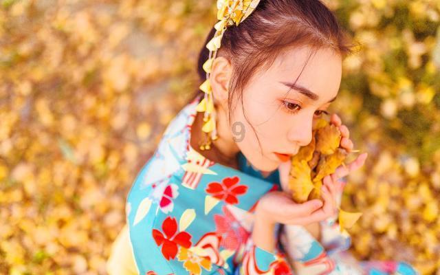 你适合养猫还是养狗?主要看这三点