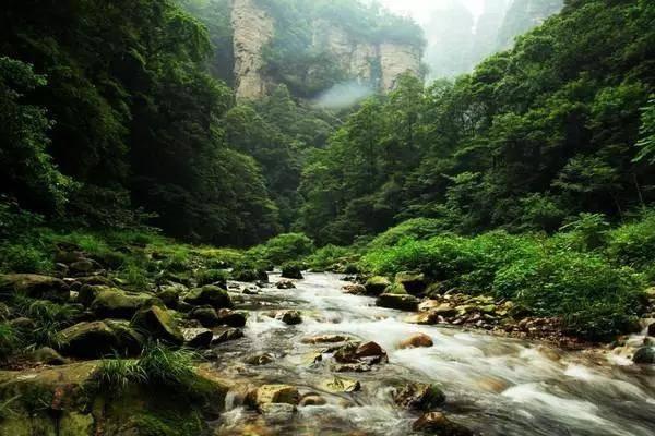 【扁桃体炎急救指南】肿大发红,疼痛加剧,该怎么办?